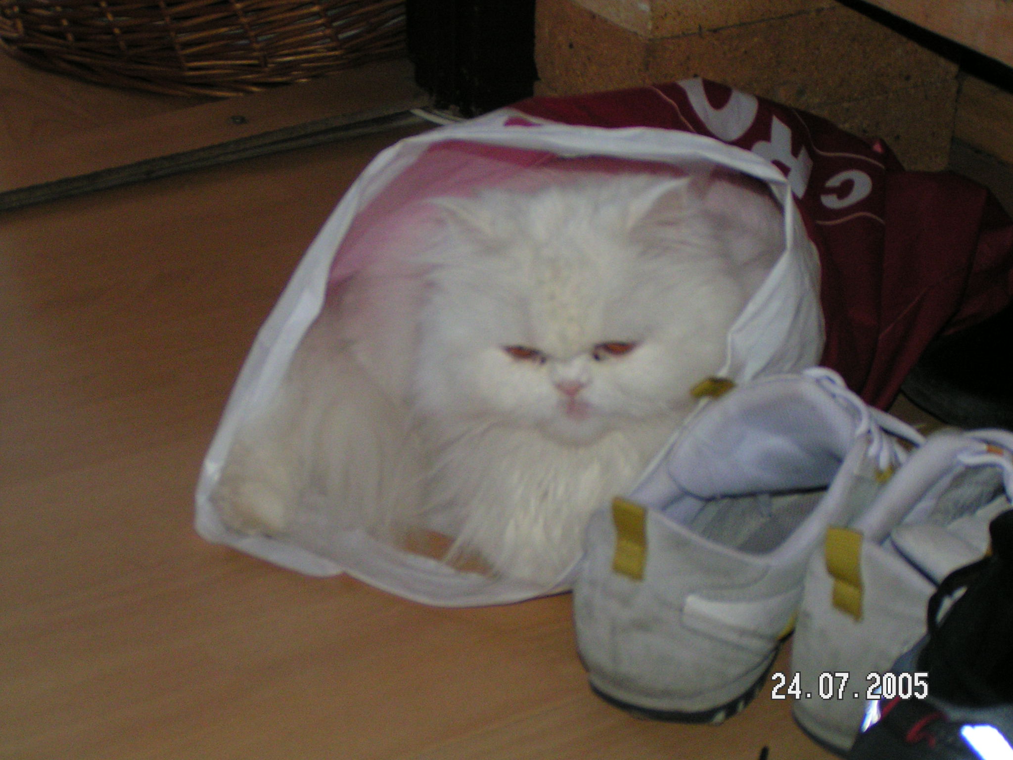 PICT0744.JPG